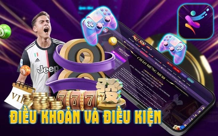 Điều Khoản và Điều Kiện